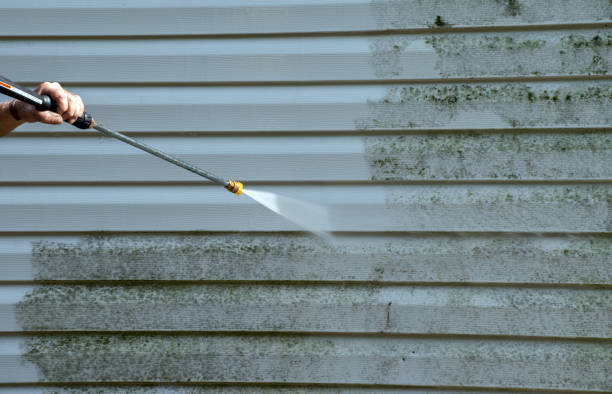 Best Building Exterior Pressure Washing in Alliance, OH